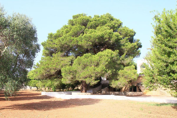 campeggio naturista