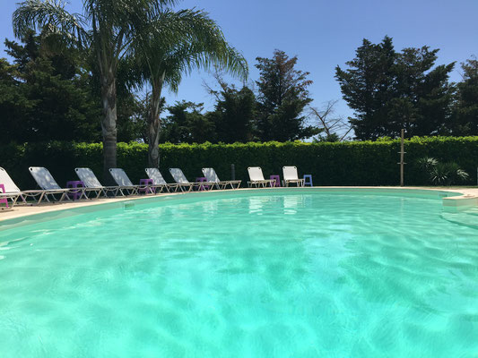 Pool in the resort
