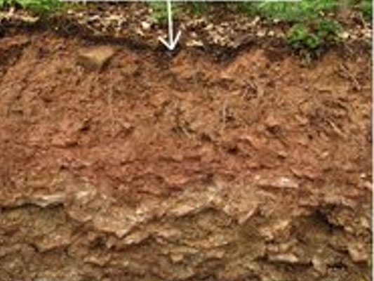 Hessisches Landesamt für Naturschutz, Umwelt und Geologie - Plakatausschnitt