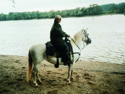2004 nochmal an der Donau
