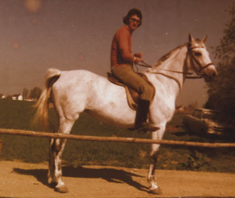 Schimmelstute Isabella 1973 - erstes Pferd von Conny Moosmüller