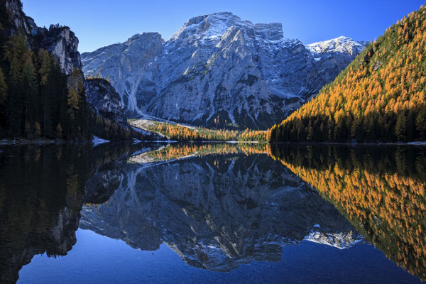 Berge spiegeln sich in See, Herbst, Pragser Wildsee, Dolomiten, Italien