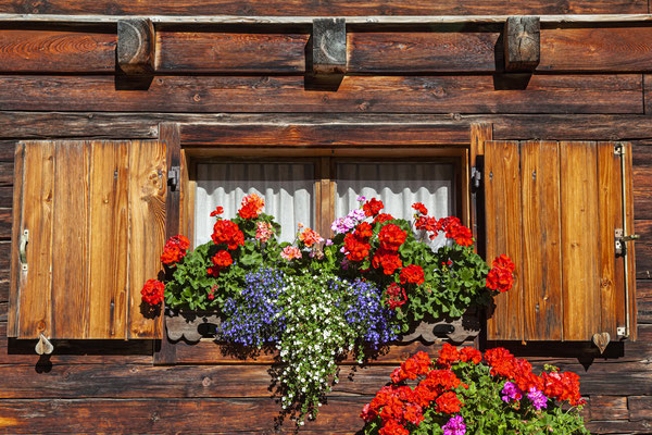 Fenster eines Holzhauses mit Blumen, Engalm, Karwendelgebirge, Österreich