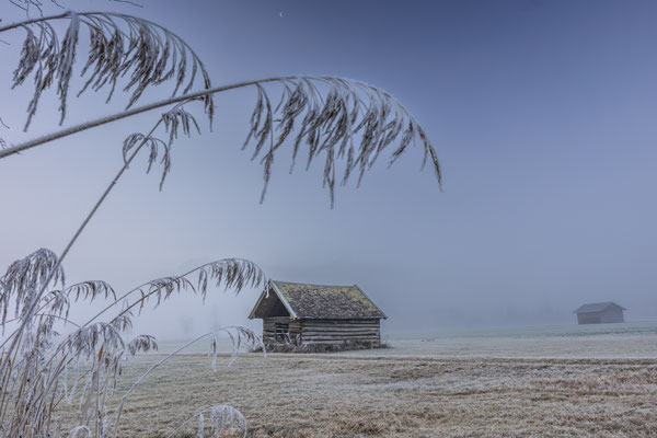 Holzhütte im Nebel