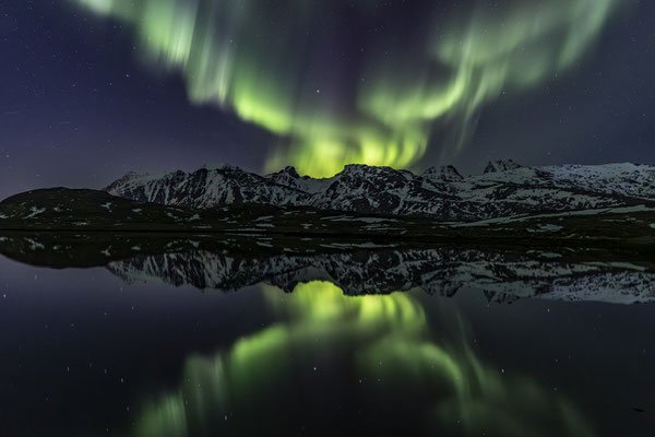 Nordlichter über Bergen spiegeln sich in Fjord
