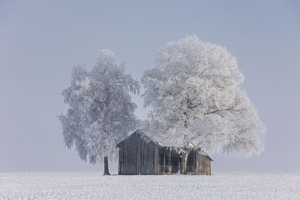 Holzhütte im Raureif