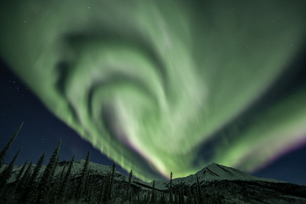 Nordlichter über verschneiten Bergen, Alaska, USA
