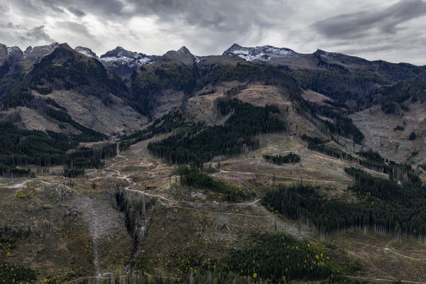 Kahlschlag, Clearcut, Holzfällung, Dolomiten