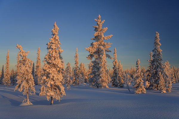 Laponia, Lappland, Schweden