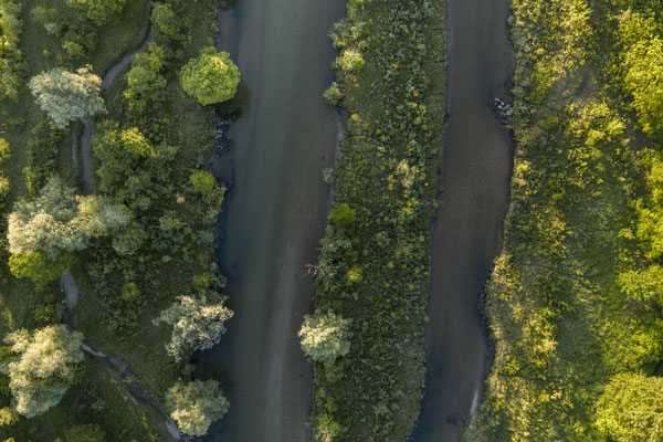 Fluss aus der Luft im Morgenlicht