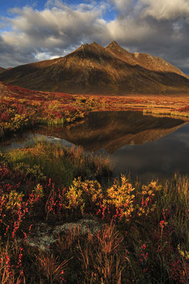 Berge spiegeln sich bei Morgenlicht in kleinem See, Yukon, Kanada