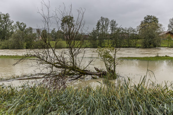 Überschwemmung an einem Fluss
