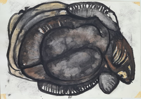 Schildkröte 29,7 x 42