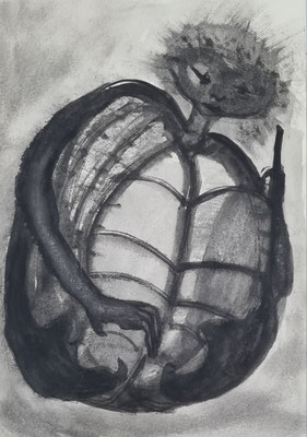 Käferjüngling 29,7 x 42