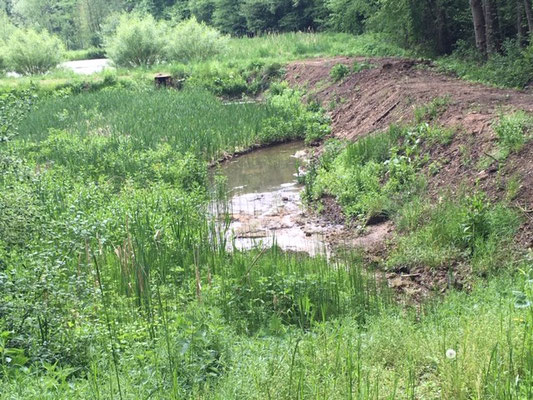 Schnittlinger Loch Bei Spalt Familienwanderung Mit Abenteuerfeeling Familienblog Blog Fur Eltern Mit Vielen Bastelideen