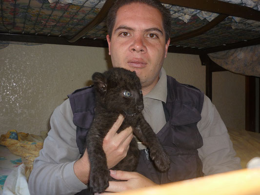 Rodrigo Gallardo