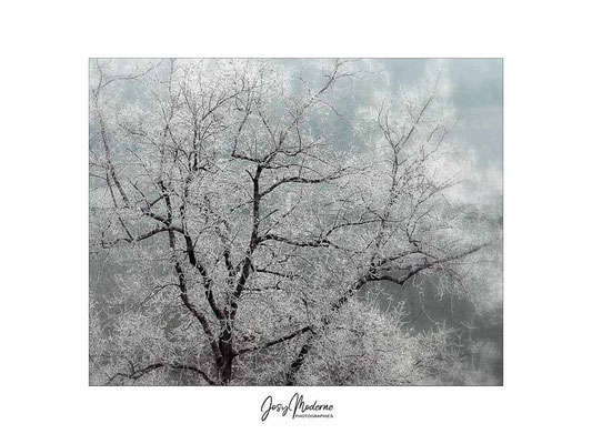 Hiver