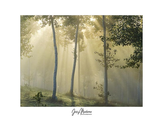 Au petit matin
