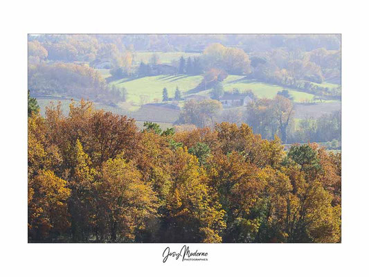 Paysage d'automne