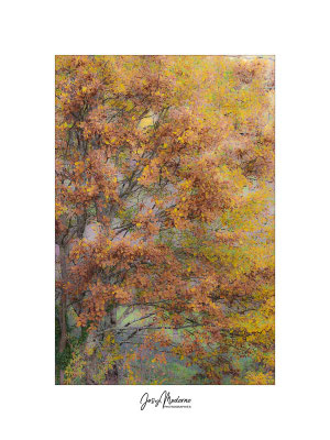 Pointillisme - 1