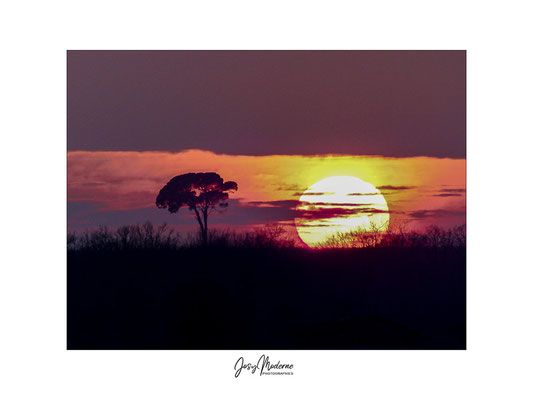 Crépuscule - 1
