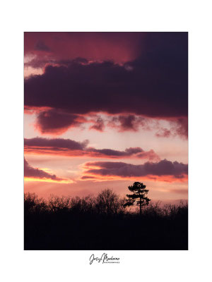 Crépuscule - 2