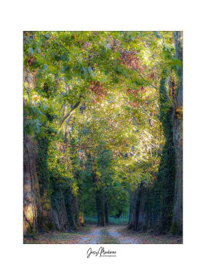 L'entrée