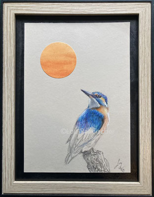 #colouredpencil