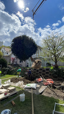 Eberhard Gartenbau AG Kloten, 