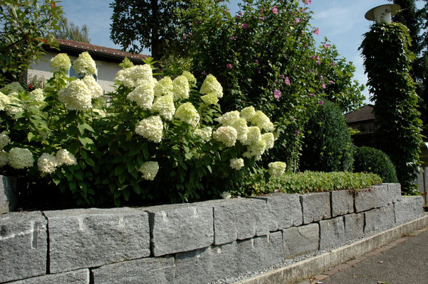 Eberhard_Gartenbau_AG, 8302 Kloten