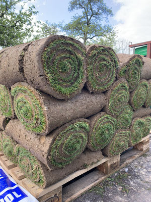 Eberhard Gartenbau AG Kloten, Rollrasen