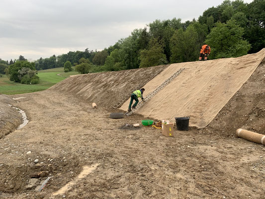 Eberhard Gartenbau AG Kloten, Böschungssicherung, Ansaat