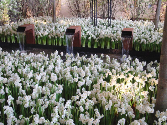 Eberhard_Gartenbau_AG, 8302 Kloten, 