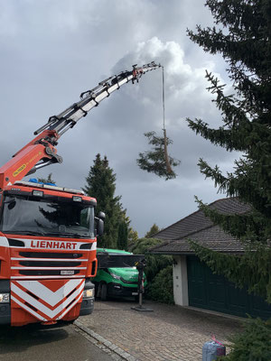  Eberhard Gartenbau AG Kloten