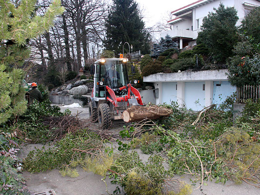 Aufräumarbeiten nach Sturmschäden Eberhard Gartenbau AG Kloten