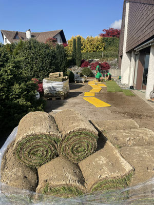 Eberhard Gartenbau AG Kloten, Rollrasen verlegen Birchwil, Nürensdorf, Bassersdorf