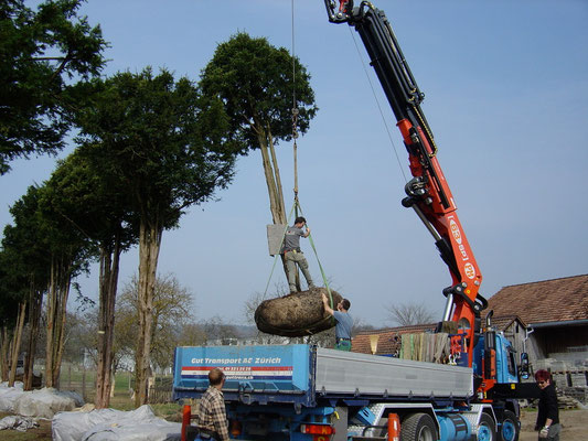 Eberhard_Gartenbau_AG, 8302 Kloten