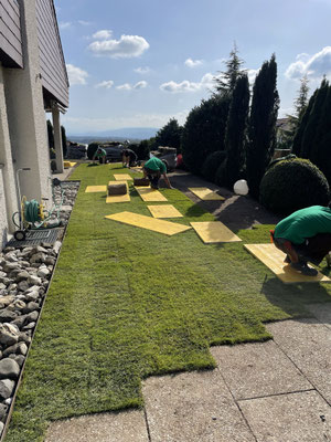 Eberhard Gartenbau AG Kloten, Rollrasen verlegen Birchwil, Nürensdorf, Bassersdorf