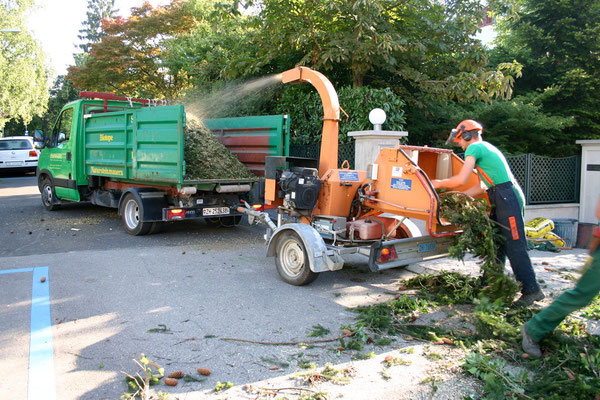 Häckseln des Schnittgutes vor Ort Eberhard Gartenbau AG Kloten