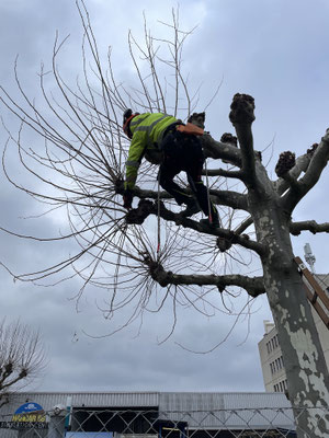 Eberhard Gartenbau AG Kloten, 