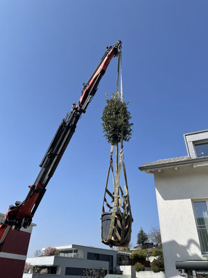  Eberhard Gartenbau AG Kloten