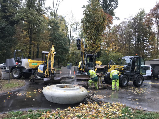  Eberhard Gartenbau AG Kloten