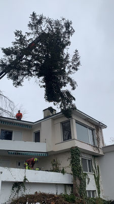  Eberhard Gartenbau AG Kloten