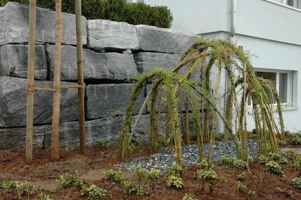 Weidenhaus für Ihren Garten Eberhard Gartenbau Kloten