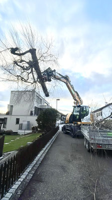 Eberhard Gartenbau AG Kloten, 