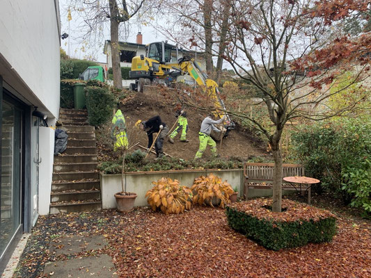  Eberhard Gartenbau AG Kloten