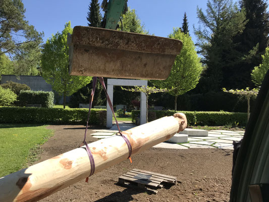  Eberhard Gartenbau AG Kloten