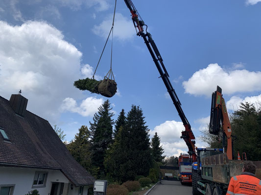  Eberhard Gartenbau AG Kloten