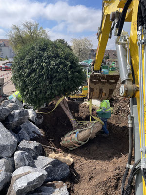 Eberhard Gartenbau AG Kloten, 