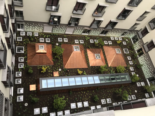 Eberhard Gartenbau AG Kloten, Innenhof Bepflanzung